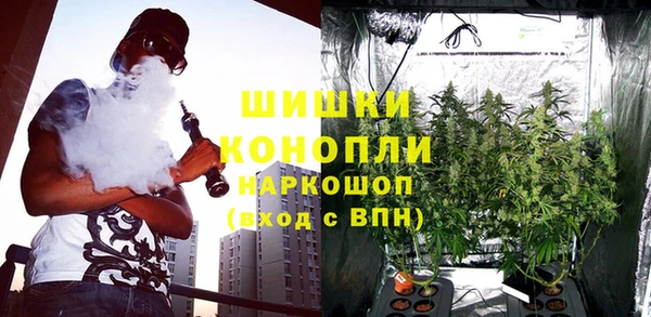 хмурый Лиски