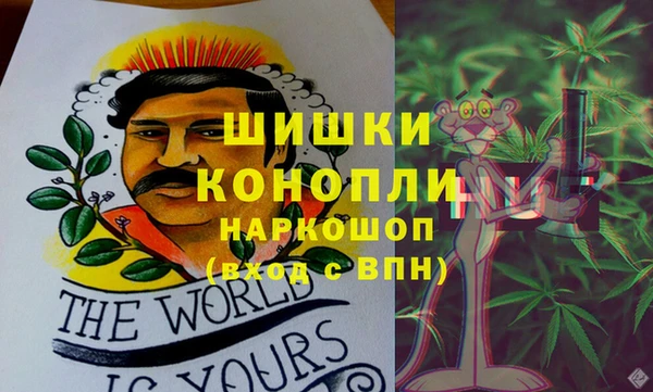 хмурый Лиски