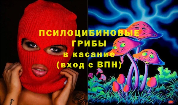 хмурый Лиски