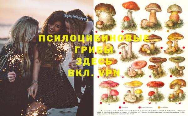 спайс Липки