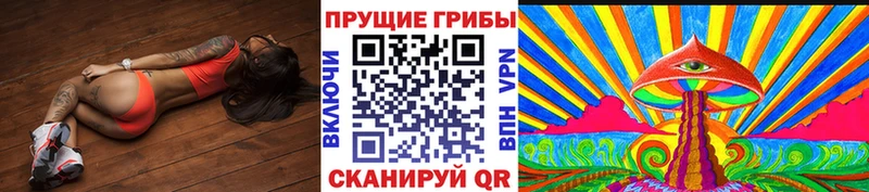 купить наркоту  кракен ТОР  Галлюциногенные грибы мицелий  Оренбург 