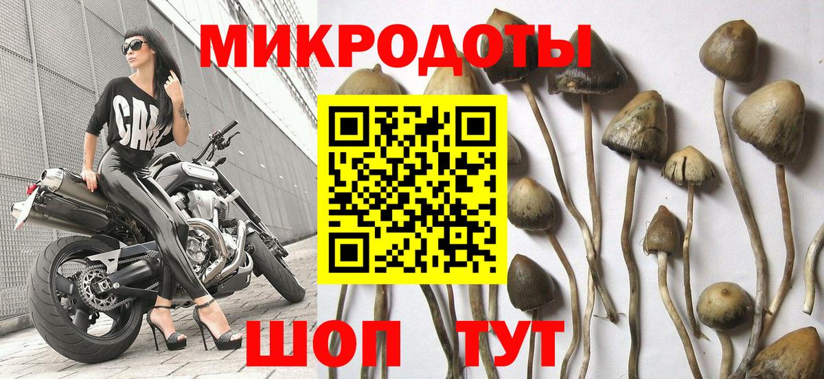 Псилоцибиновые грибы Magic Shrooms Оренбург