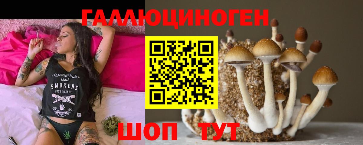 Оренбург  Псилоцибиновые грибы мухоморы  Вход с VPN  Псилоцибиновые грибы мухоморы 